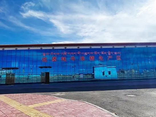 西藏那曲地区扶贫项目扶贫产业园容积式换热器制造中